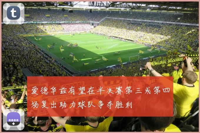 爱德华兹有望在半决赛第三或第四场复出助力球队争夺胜利
