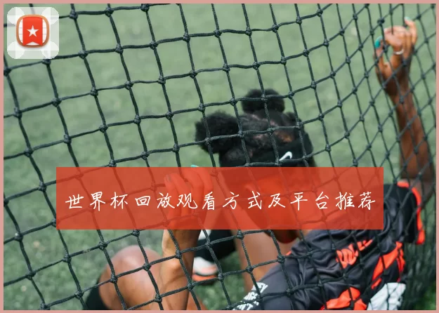 世界杯回放观看方式及平台推荐