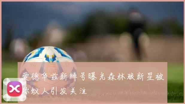 爱德华兹新绰号曝光森林狼新星被称蚁人引发关注