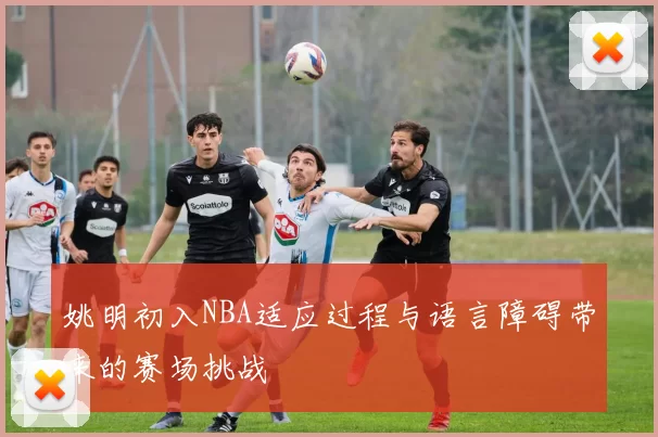 姚明初入NBA适应过程与语言障碍带来的赛场挑战