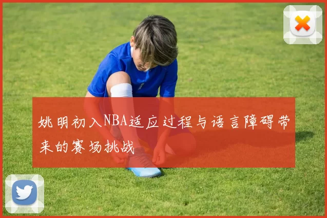 姚明初入NBA适应过程与语言障碍带来的赛场挑战