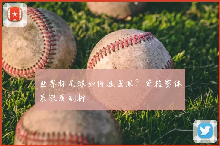 世界杯足球如何选国家？资格赛体系深度剖析