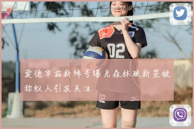 爱德华兹新绰号曝光森林狼新星被称蚁人引发关注