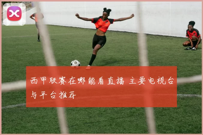 西甲联赛在哪能看直播 主要电视台与平台推荐