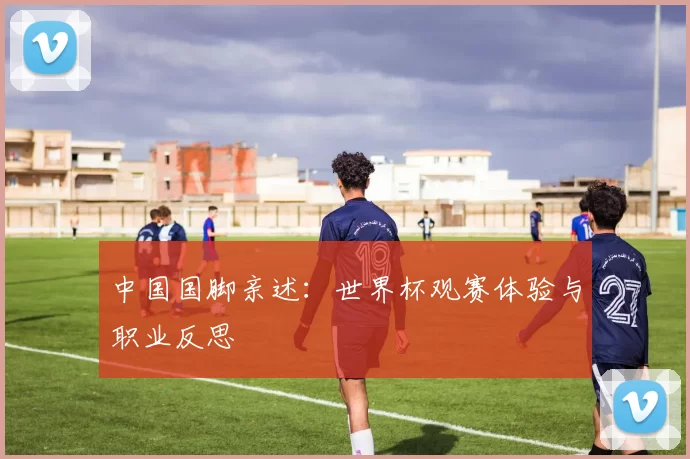 中国国脚亲述：世界杯观赛体验与职业反思