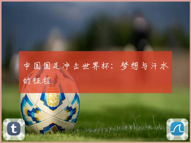 中国国足冲击世界杯：梦想与汗水的征程