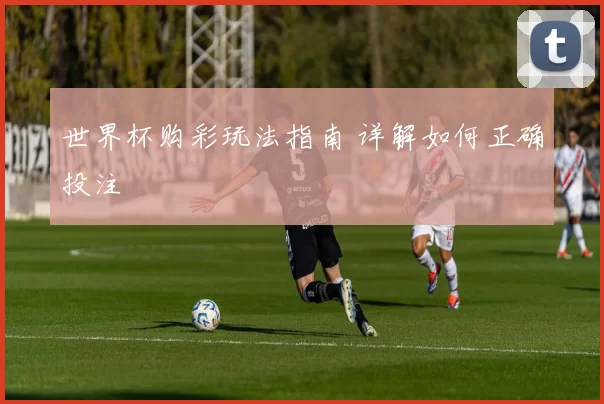 世界杯购彩玩法指南 详解如何正确投注