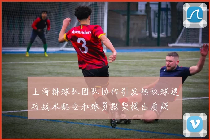 上海排球队团队协作引发热议球迷对战术配合和球员默契提出质疑
