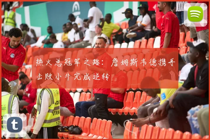 热火总冠军之路：詹姆斯韦德携手击败小牛完成逆转