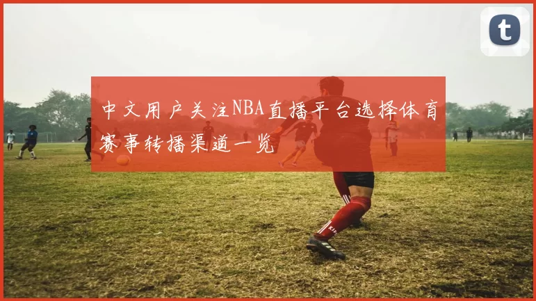 中文用户关注NBA直播平台选择体育赛事转播渠道一览