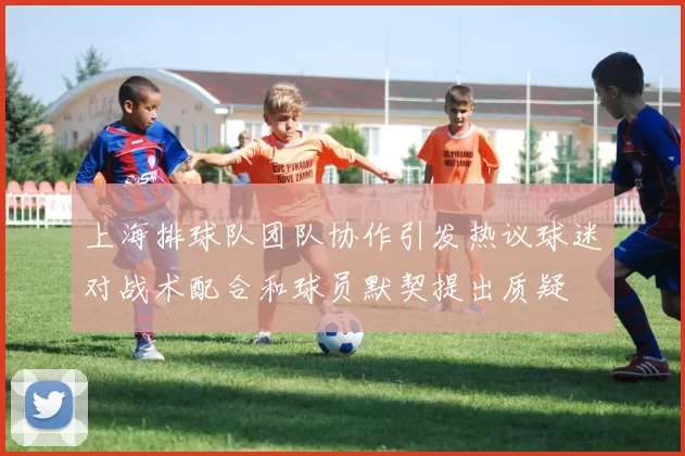 上海排球队团队协作引发热议球迷对战术配合和球员默契提出质疑