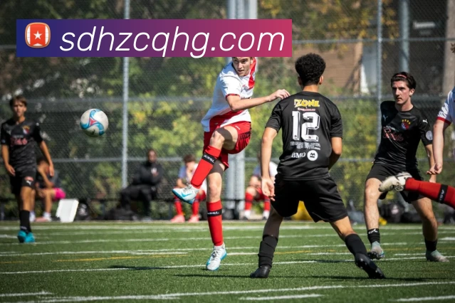 华体官网登录发展历程