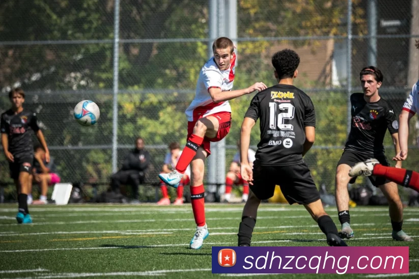 高性价比实用健身器材清单解锁全维度塑形方案